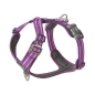 Preview: DOG Copenhagen V3 Comfort Walk Air Purple Passion
